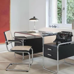 Aktionsset S 64 V Freischwinger + Fell