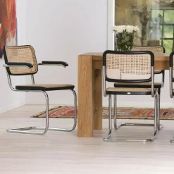 Aktionsset S 64 V Freischwinger + Fell