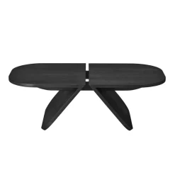 Avio Couchtisch