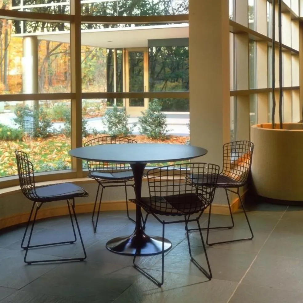Bertoia Stuhl