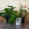 Blumentopf mit Untersetzer XL