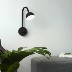 Blush LED Wandleuchte