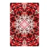 Crystal Fire Teppich 200x300cm