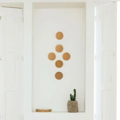 Disk Wandhaken