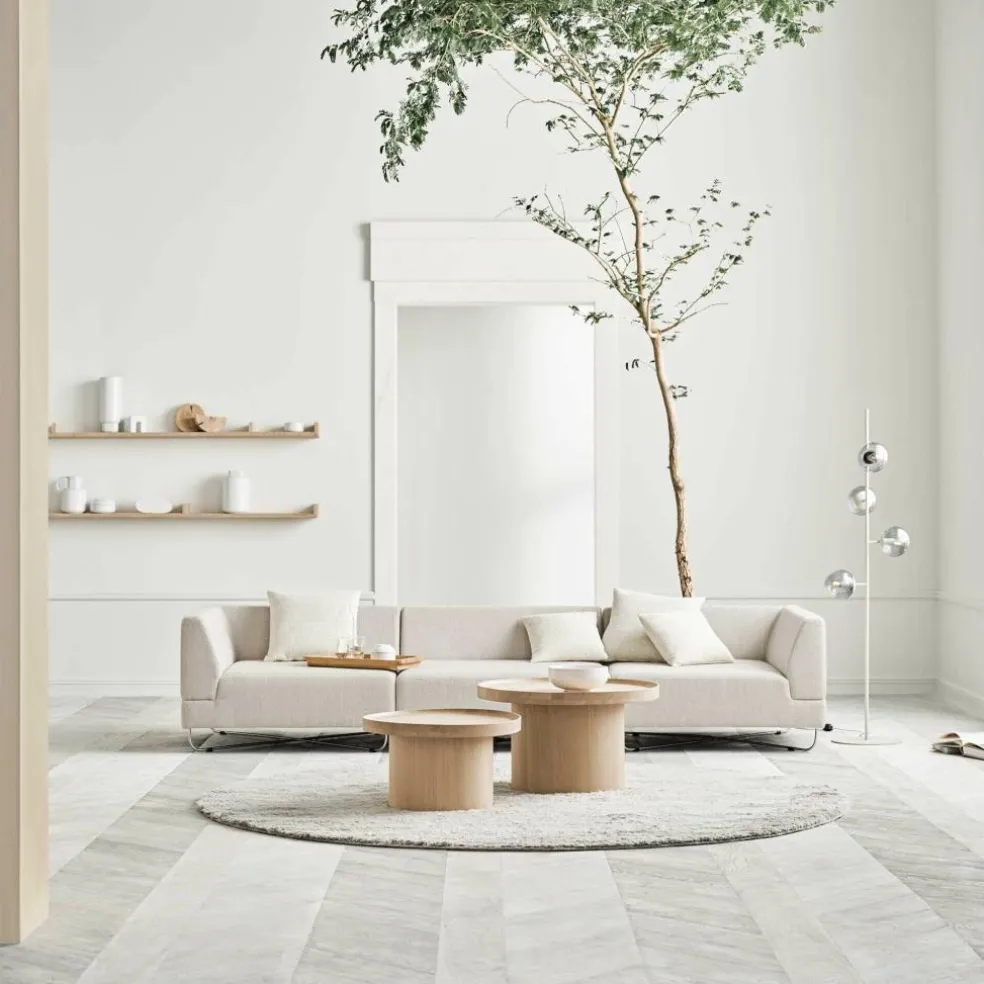 Display Regal 234cm