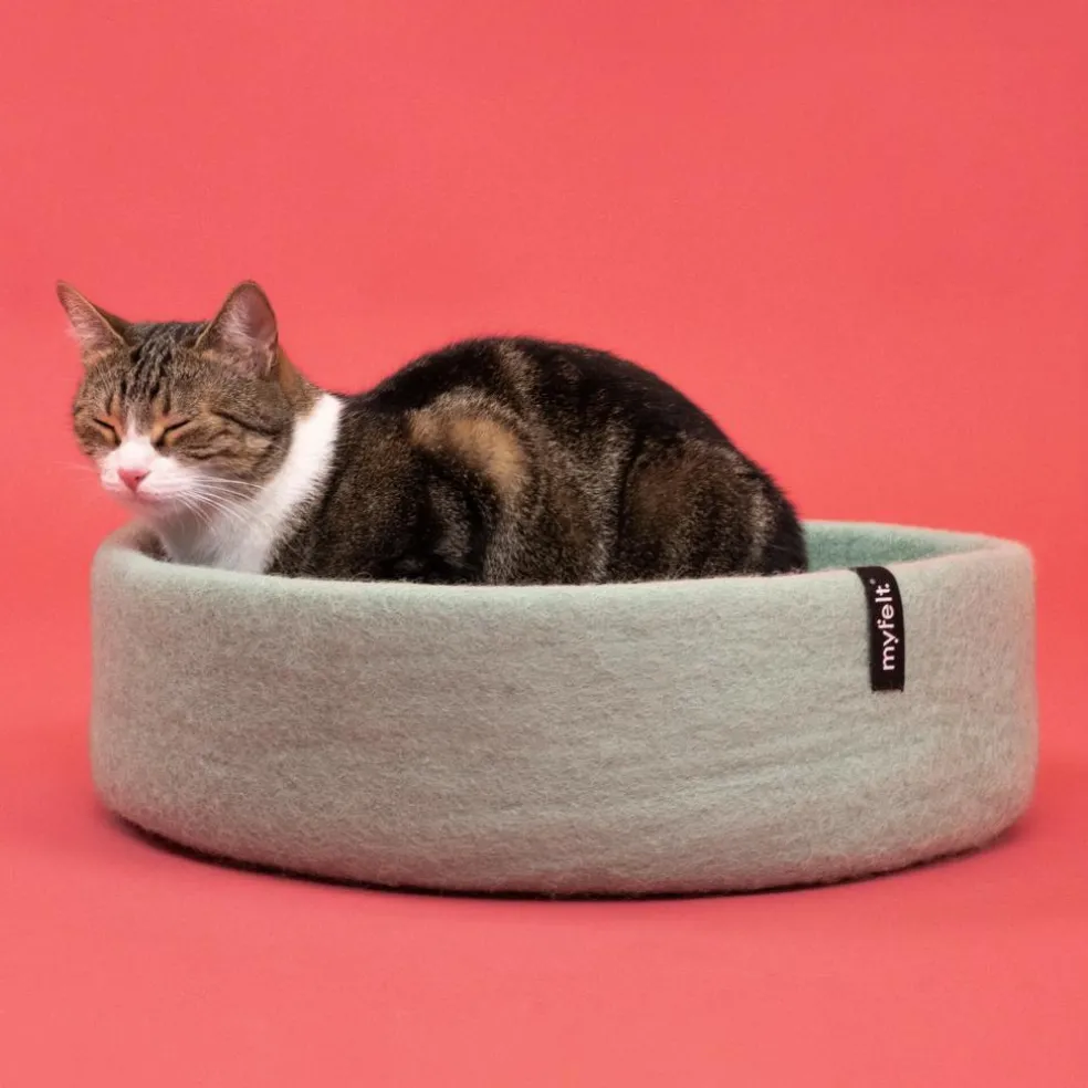 Fine Katzenkorb