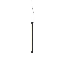 Fine LED Pendelleuchte 60cm