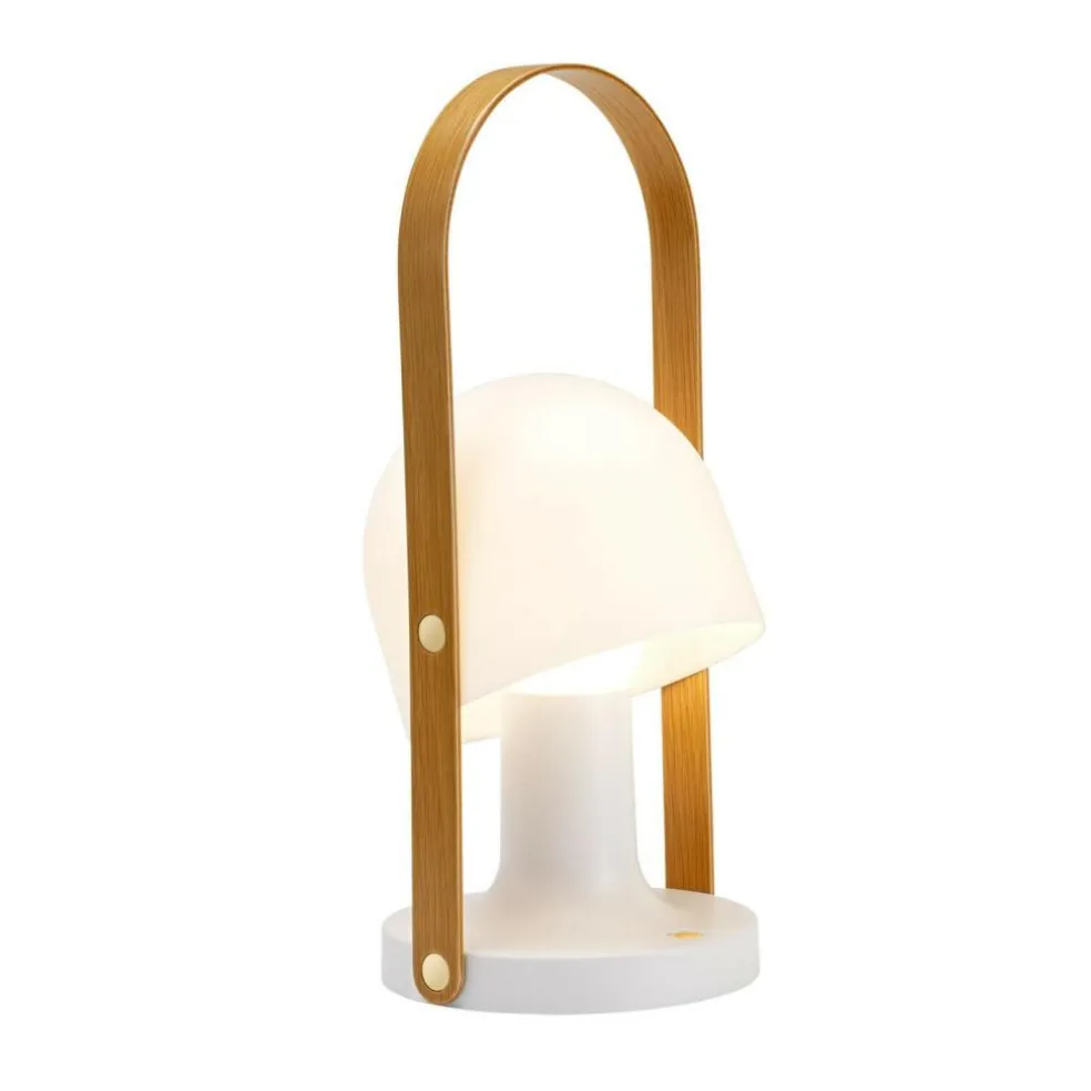 FollowMe Plus LED Leuchte mit Akku