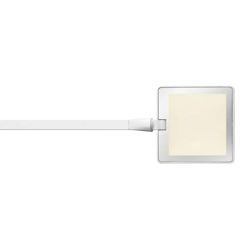 Kelvin Edge Basis LED Tischleuchte