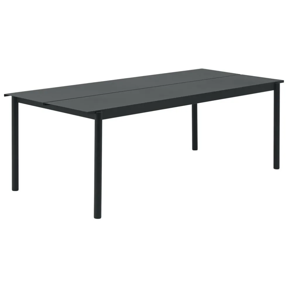 Linear Steel Gartentisch 220x90cm