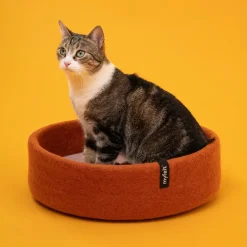Lora Katzenkorb