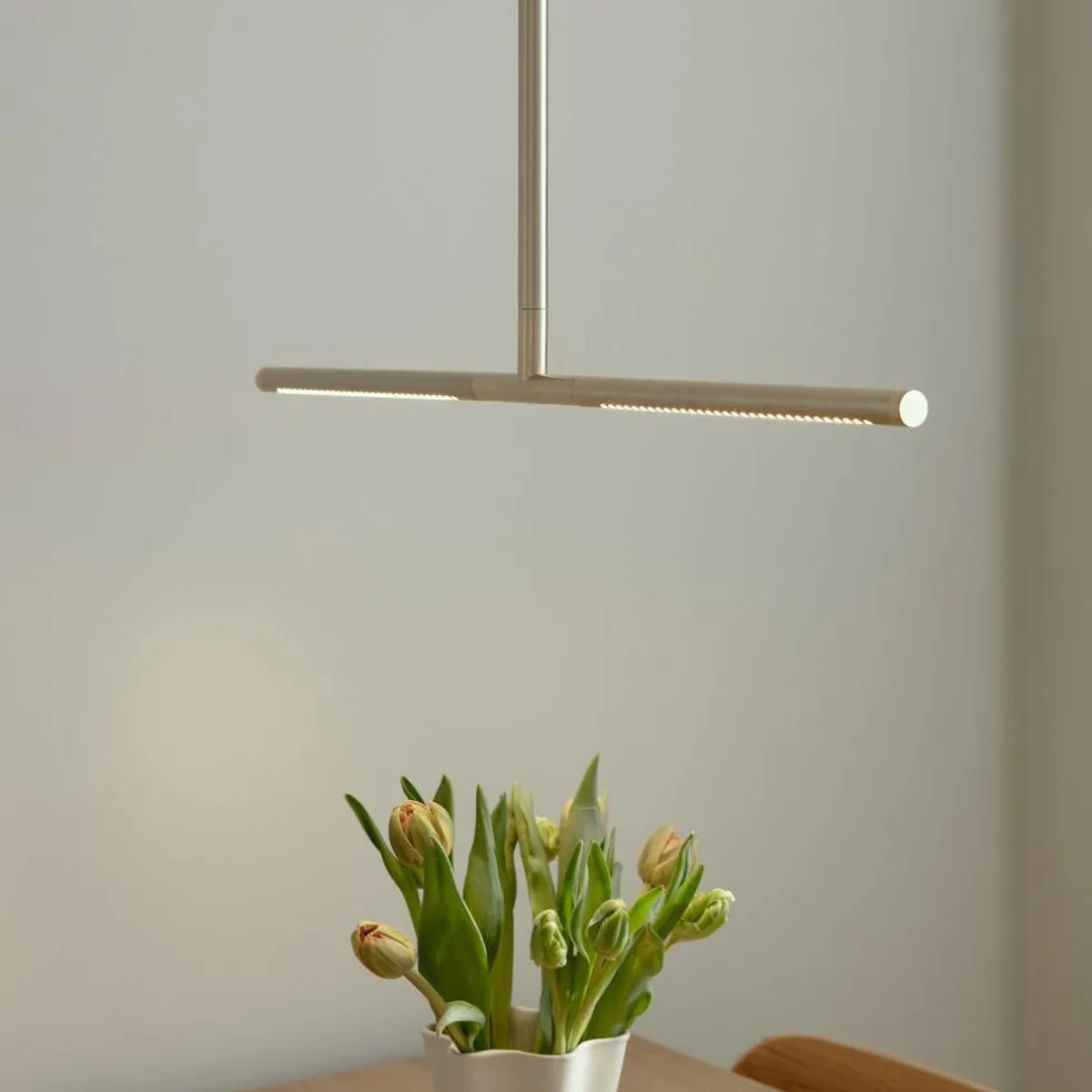 Omni LED Pendelleuchte