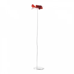 Papavero Delicato Mohnblume Tischdekoration