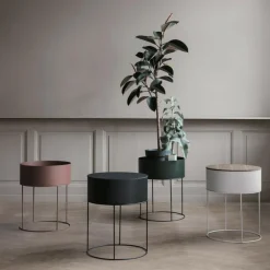 Plant Box rund