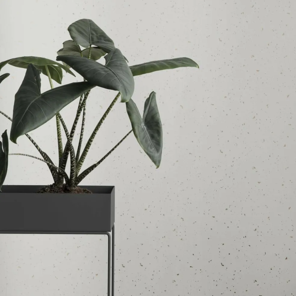 Plant Box 60x65x25cm