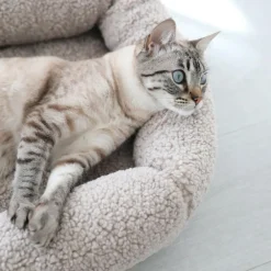 Senso Box Katzenbett