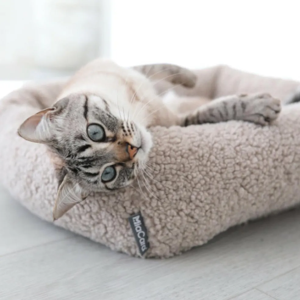 Senso Box Katzenbett