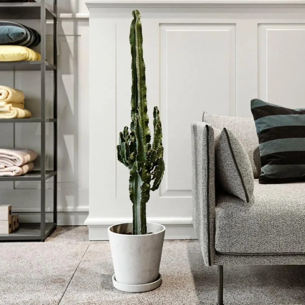 Silhouette 2 Sitzer Sofa Füße Stahl