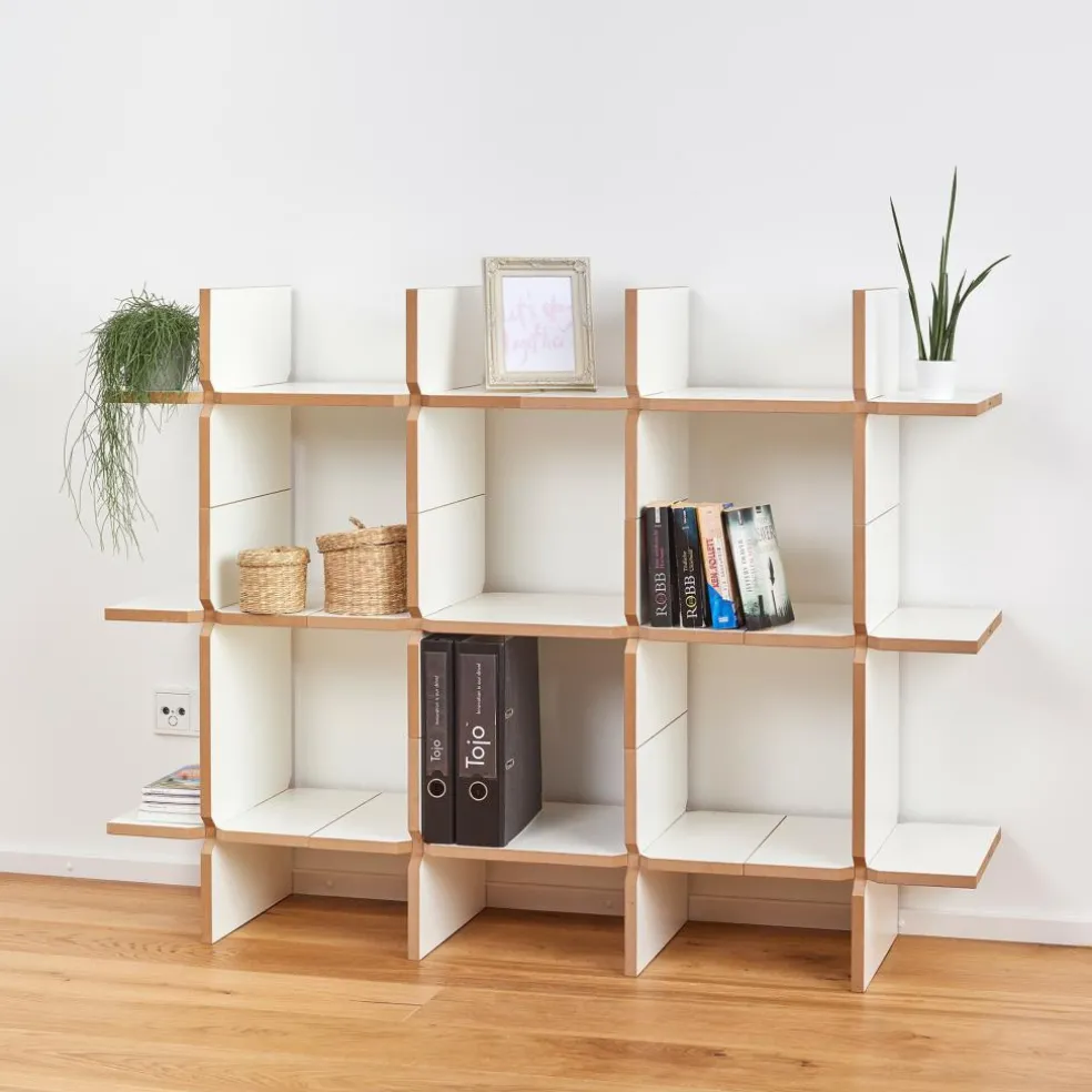 Solo Regalmodul