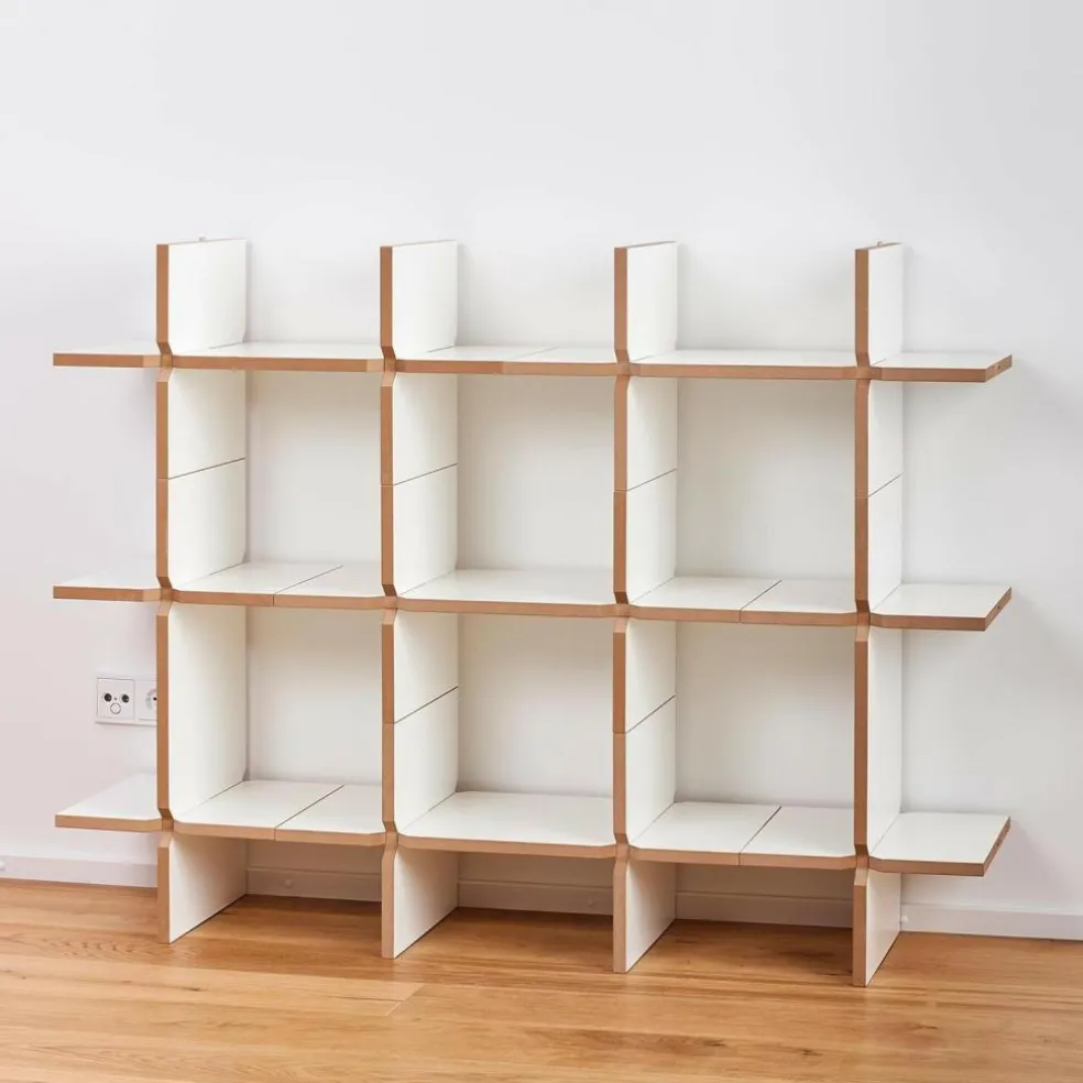 Solo Regalmodul