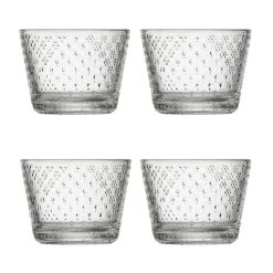 Tundra Trinkglas 4er Set 16cl