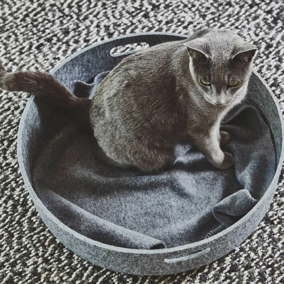Unica Katzendecke