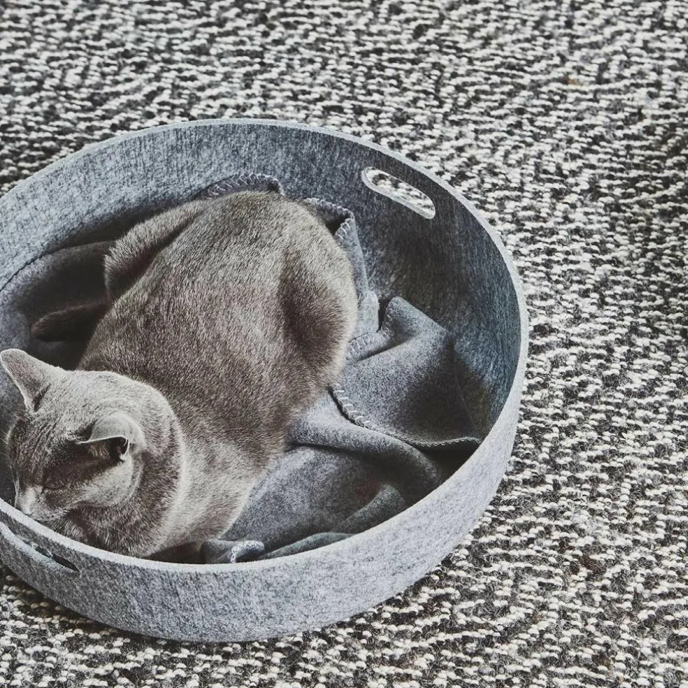 Unica Katzendecke