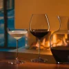 Vertias Cocktailglas 2er Set