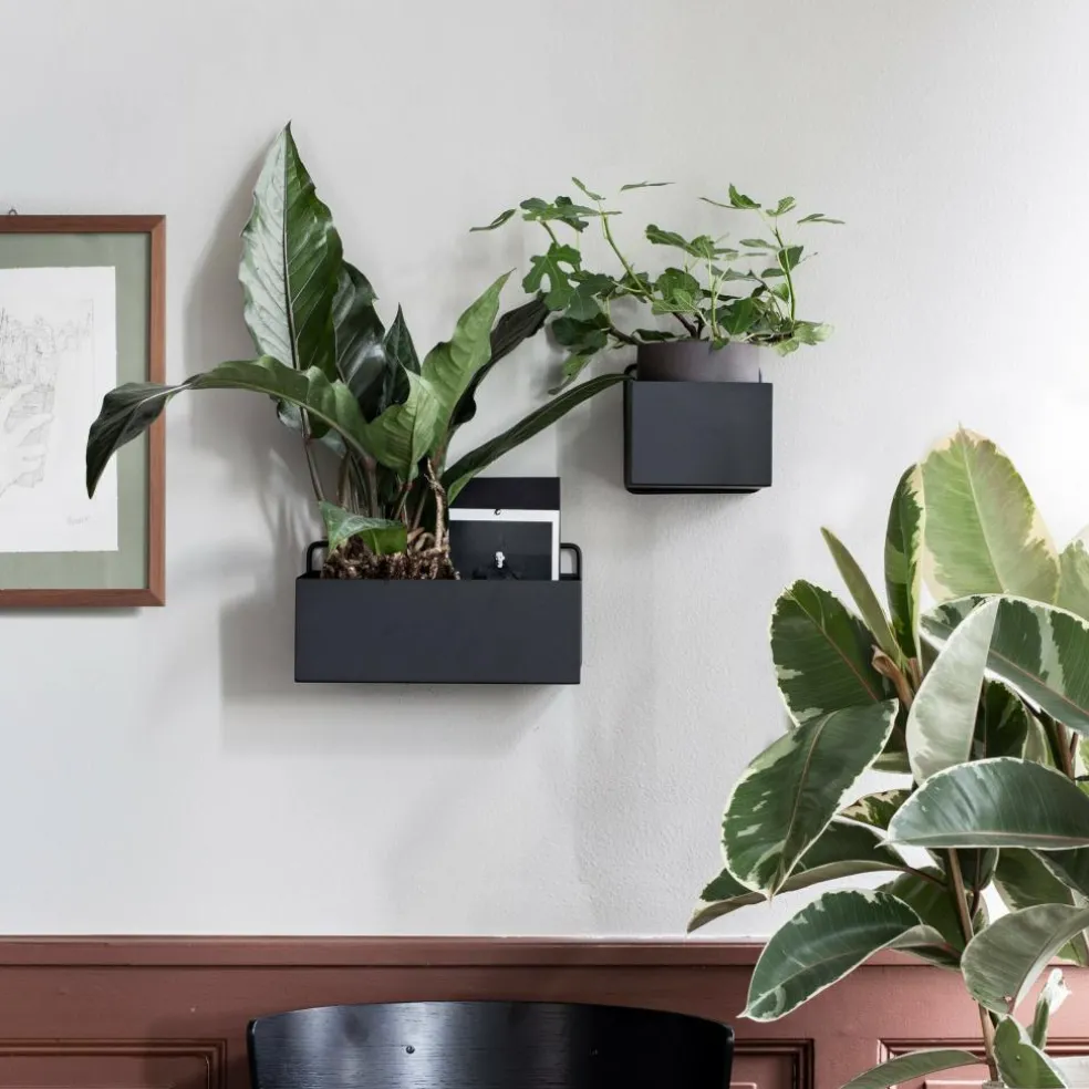 Wall Box Quadrat 14,6x14,6x15,6cm